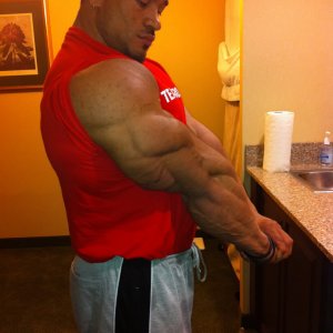 2011 Bodybuilding images