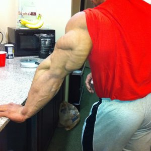 2011 Bodybuilding images