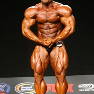 2011 Bodybuilding images