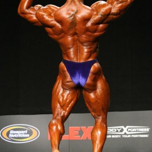 2011 Bodybuilding images