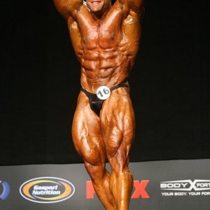 2011 Bodybuilding images