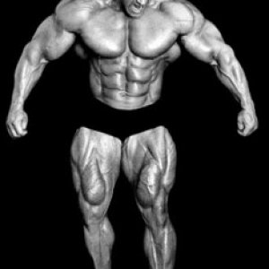 2011 Bodybuilding images