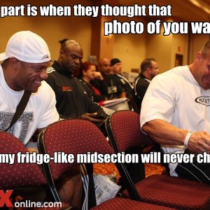 2011 Bodybuilding images