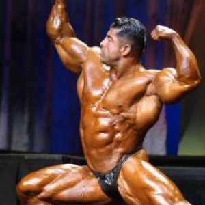 2011 Bodybuilding images