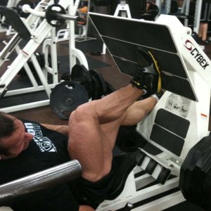 2011 Bodybuilding images