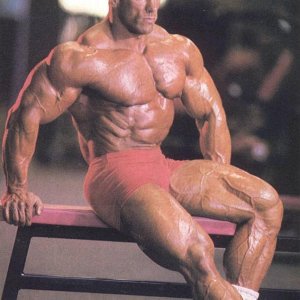 2011 Bodybuilding images