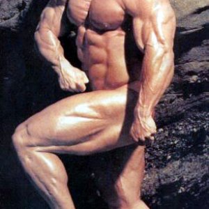 2011 Bodybuilding images