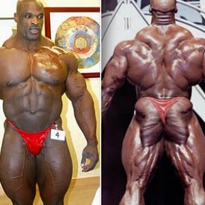 2011 Bodybuilding images