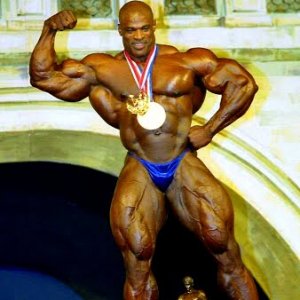 2011 Bodybuilding images