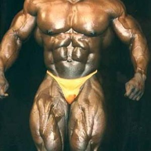 2011 Bodybuilding images