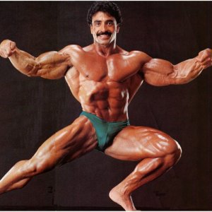 2011 Bodybuilding images