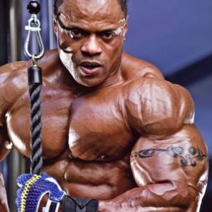 2011 Bodybuilding images