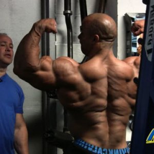 2011 Bodybuilding images