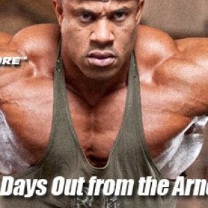 2011 Bodybuilding images