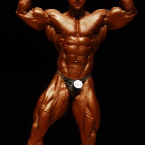 2011 Bodybuilding images