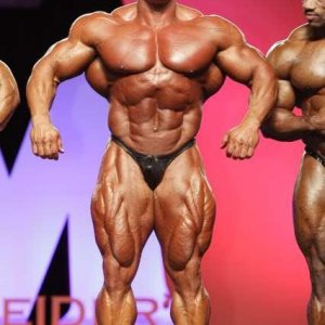 2011 Bodybuilding images