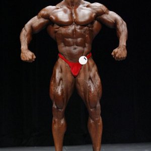 2011 Bodybuilding images