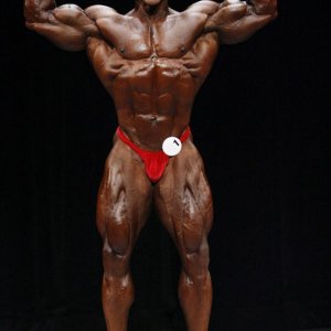 2011 Bodybuilding images