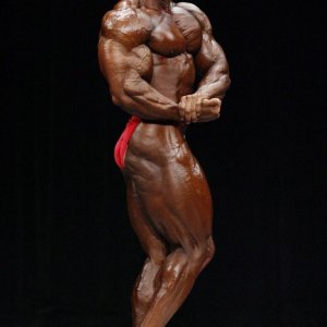 2011 Bodybuilding images