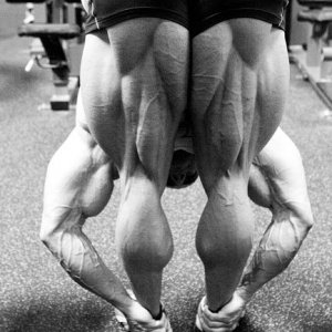 2011 Bodybuilding images