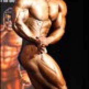 2011 Bodybuilding images