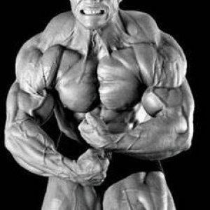 2011 Bodybuilding images