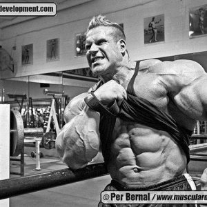 2011 Bodybuilding images