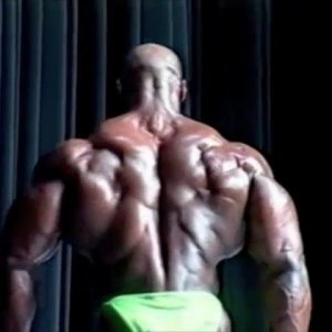 2011 Bodybuilding images