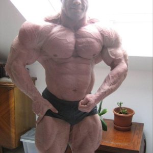 2011 Bodybuilding images