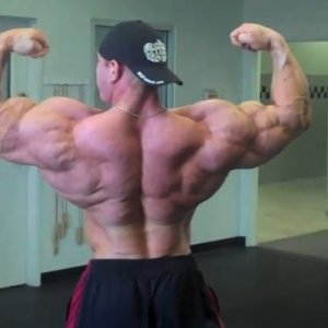 2011 Bodybuilding images