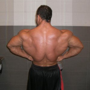 2011 Bodybuilding images