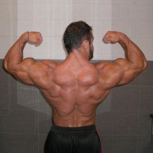 2011 Bodybuilding images