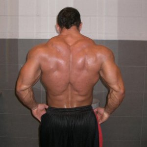 2011 Bodybuilding images