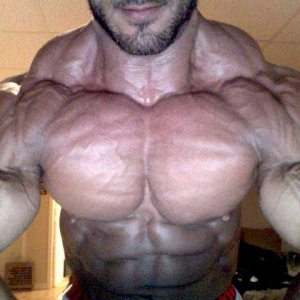 2011 Bodybuilding images