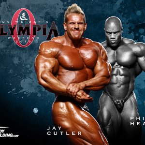 2011 Bodybuilding images