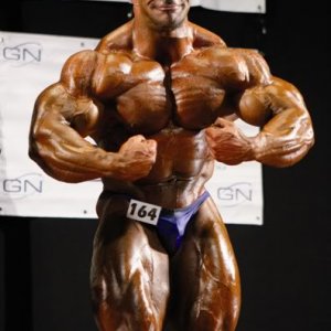 2011 Bodybuilding images