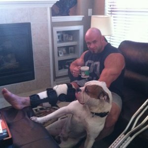 2011 Bodybuilding images