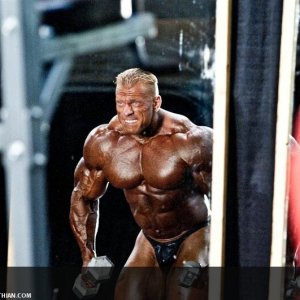 2011 Bodybuilding images