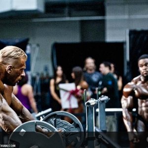 2011 Bodybuilding images