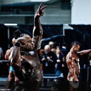 2011 Bodybuilding images