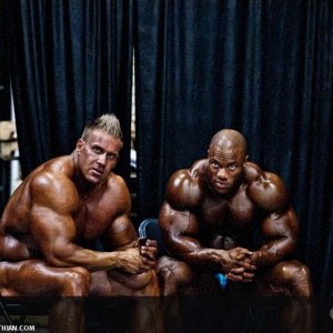 2011 Bodybuilding images