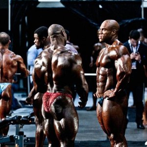 2011 Bodybuilding images