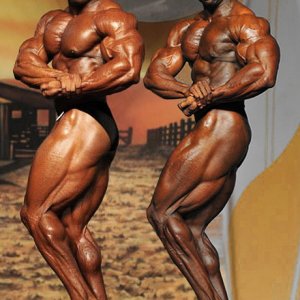 2011 Bodybuilding images