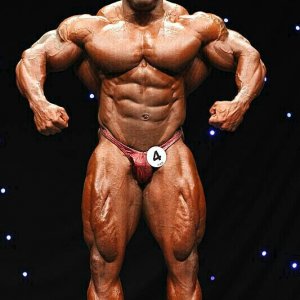 2011 Bodybuilding images