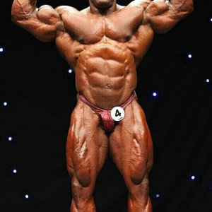 2011 Bodybuilding images