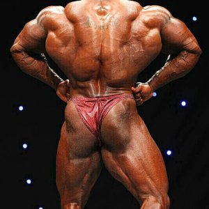 2011 Bodybuilding images