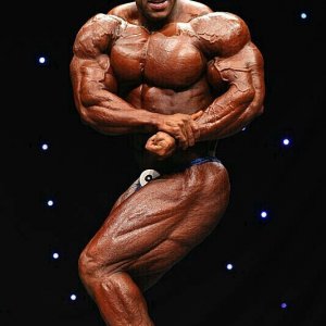 2011 Bodybuilding images