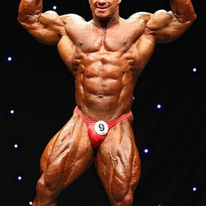 2011 Bodybuilding images