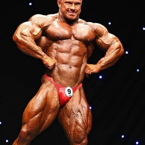 2011 Bodybuilding images