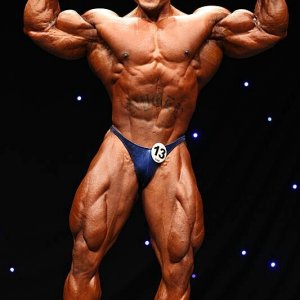 2011 Bodybuilding images